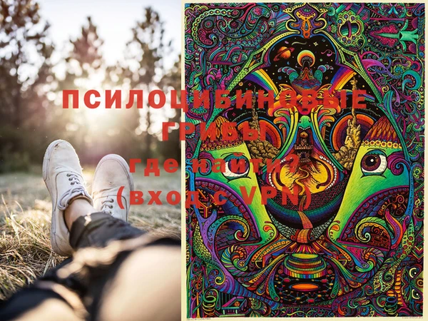 бошки Абинск